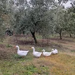 Casa Vitaly *